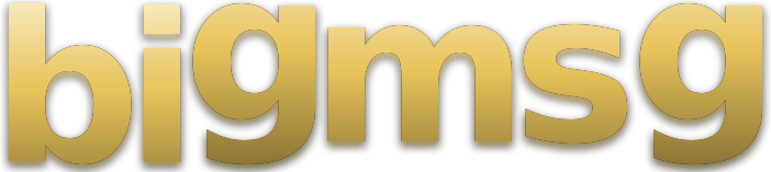 bigmsg logo